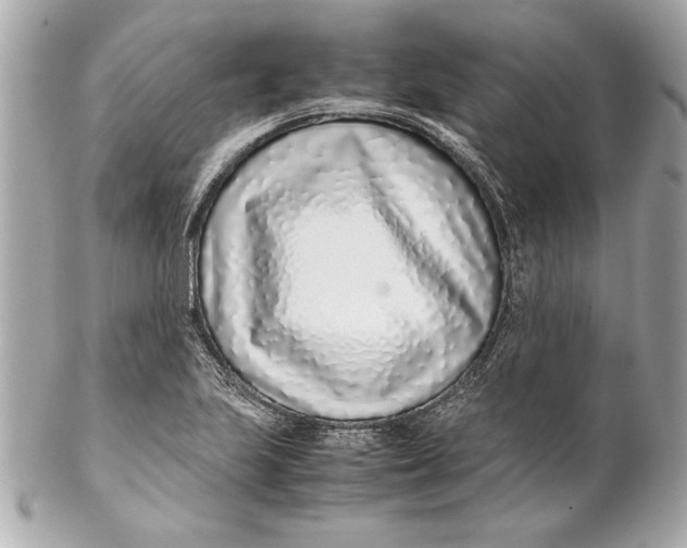 X0000102271223200808151857