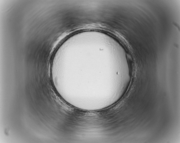 X0000102271224200808151857