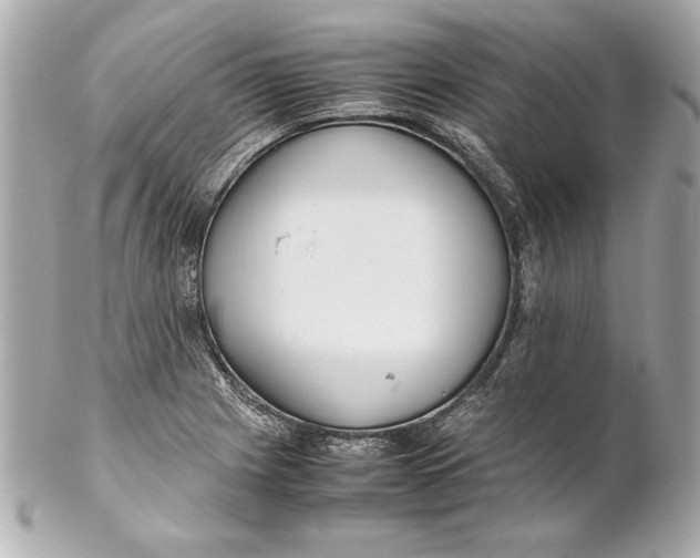 X0000102271225200808151857