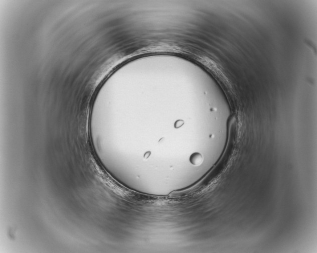 X0000102271228200808151857