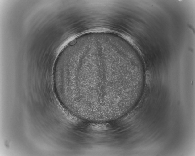 X0000102271229200808151857