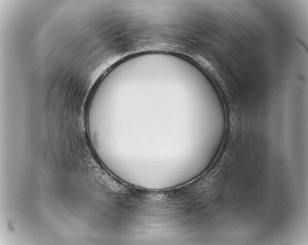 X0000102271230200808151857