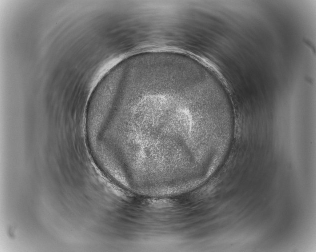 X0000102271231200808151857