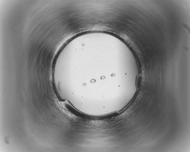 X0000102271232200808151857