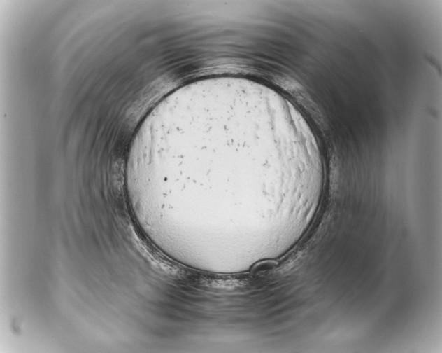 X0000102271233200808151857