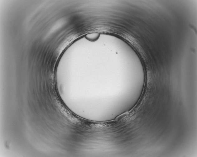 X0000102271234200808151857