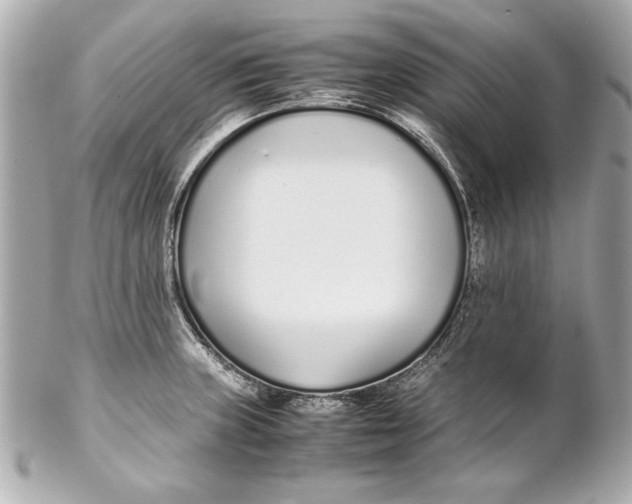 X0000102271235200808151857