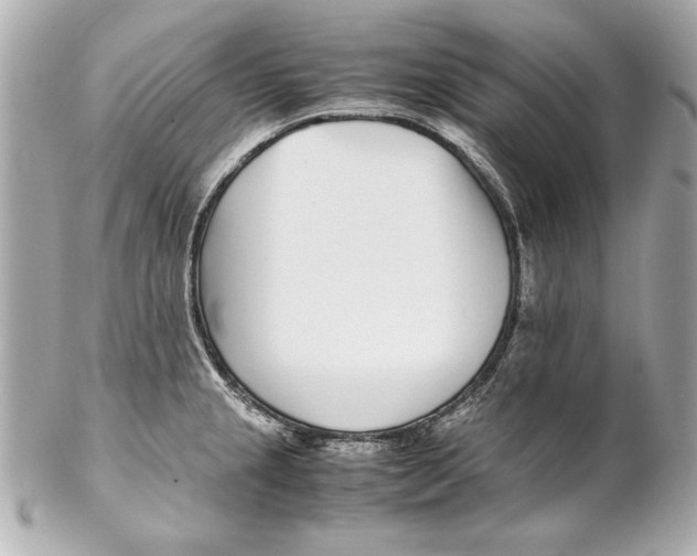 X0000102271237200808151857