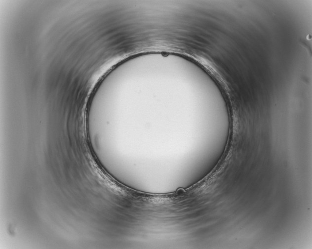 X0000102271238200808151857