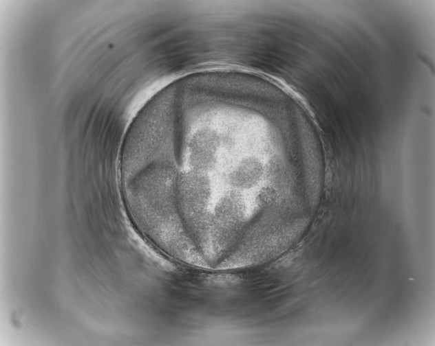 X0000102271239200808151857