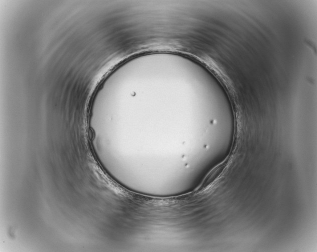 X0000102271240200808151857