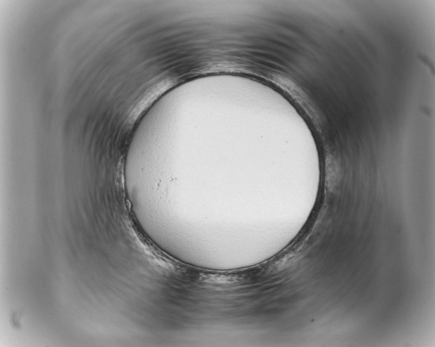 X0000102271241200808151857