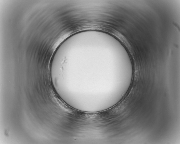 X0000102271242200808151857