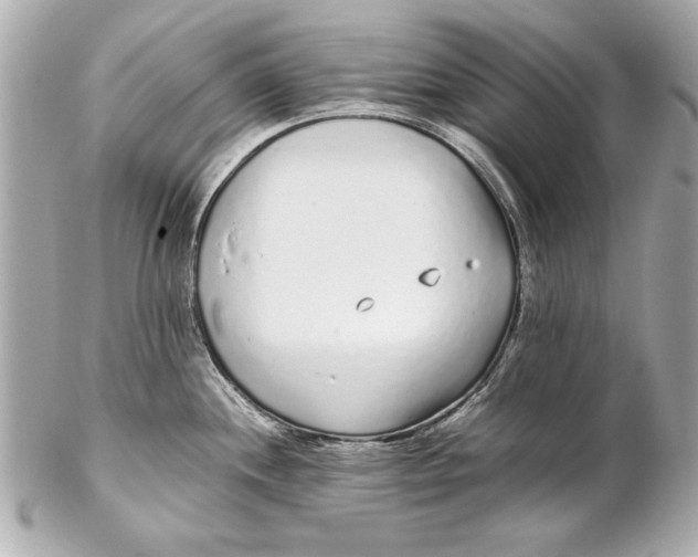 X0000102271244200808151857