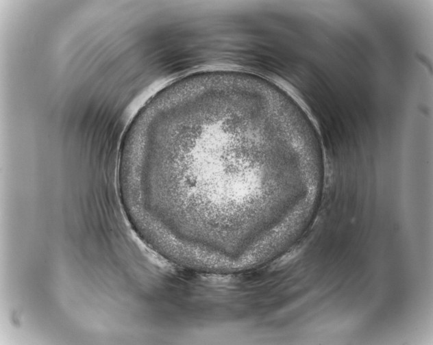 X0000102271245200808151857