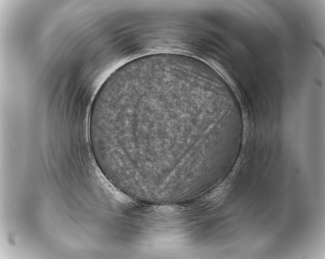 X0000102271246200808151857