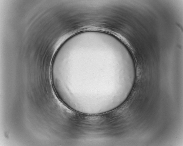 X0000102271247200808151857