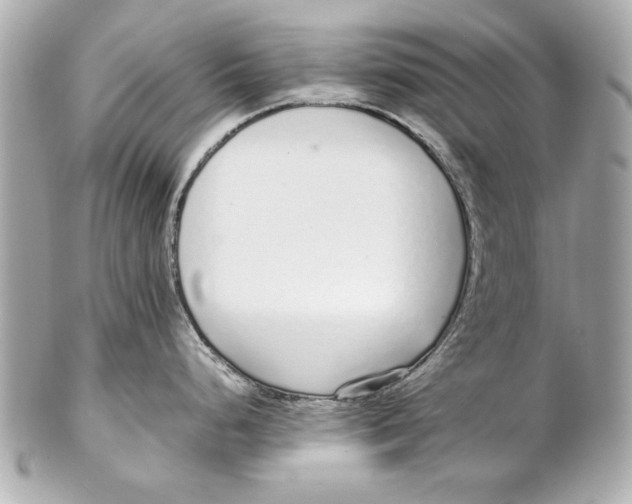 X0000102271248200808151857