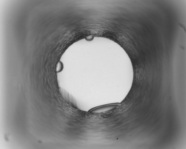 X0000102271249200808151856