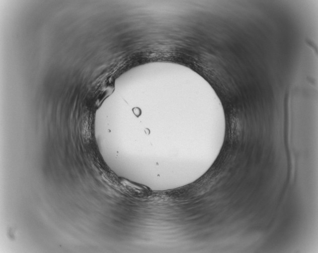 X0000102271250200808151856