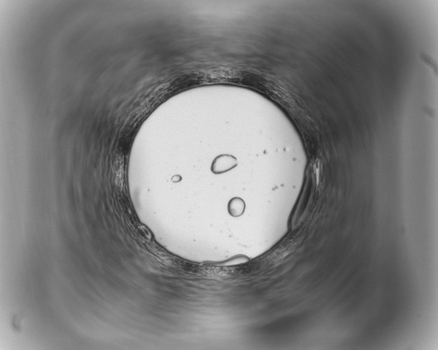 X0000102271251200808151856