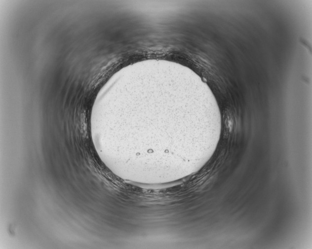 X0000102271252200808151856