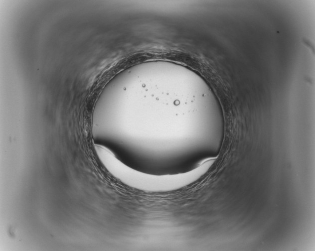 X0000102271253200808151856