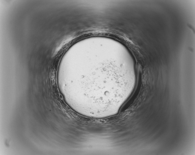 X0000102271255200808151856