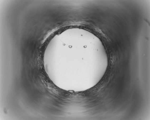 X0000102271256200808151856