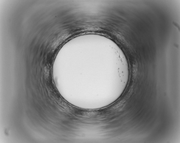 X0000102271257200808151856