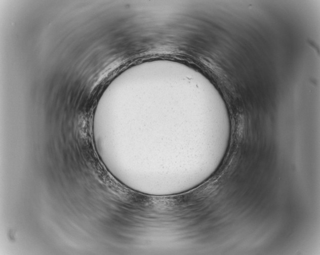 X0000102271258200808151856