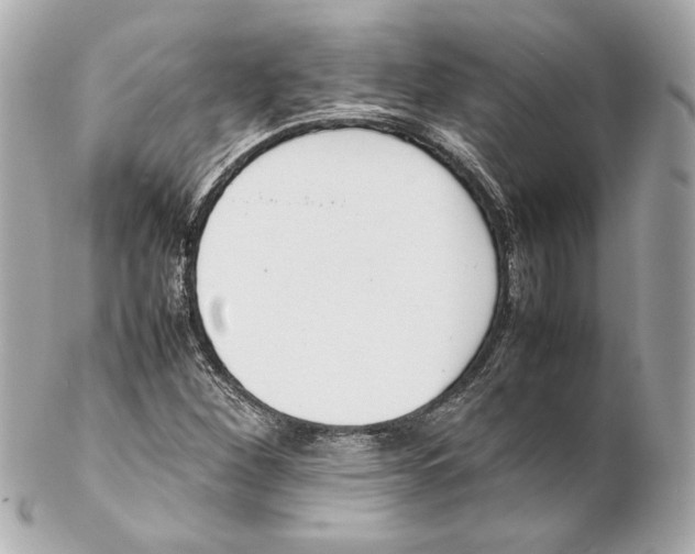 X0000102271260200808151856