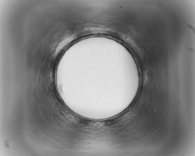 X0000102271261200808151856