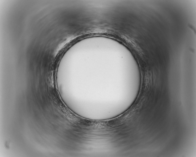 X0000102271262200808151856