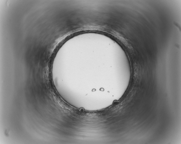 X0000102271264200808151856