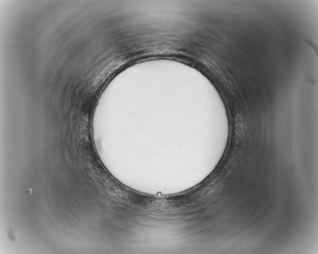 X0000102271265200808151856