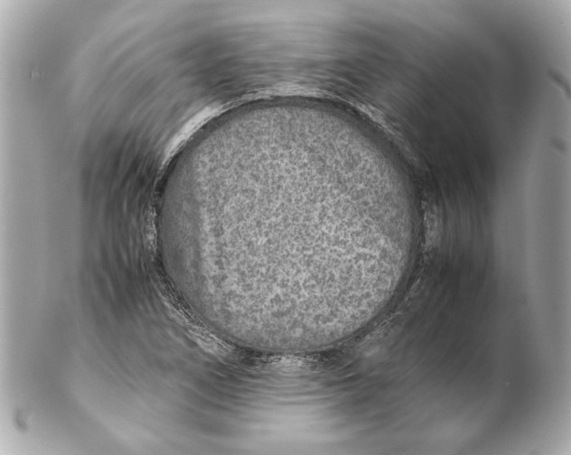 X0000102271266200808151856