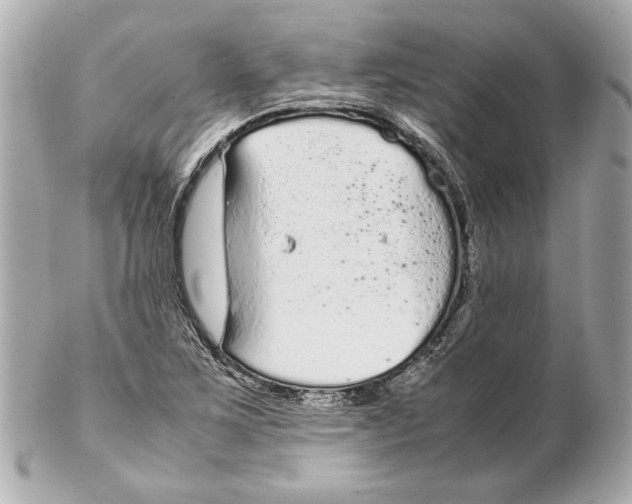 X0000102271267200808151856