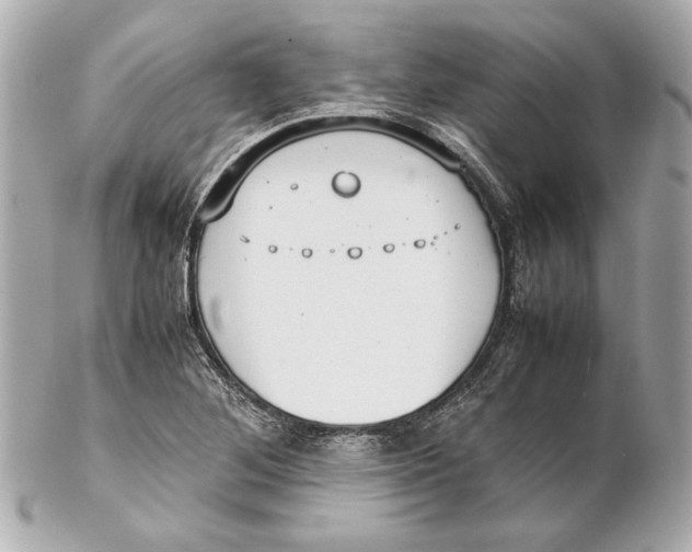 X0000102271268200808151856