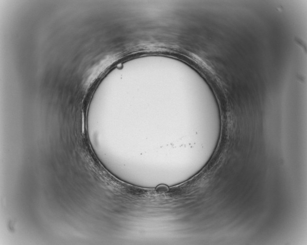 X0000102271269200808151856