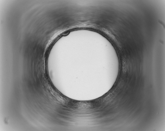 X0000102271270200808151856