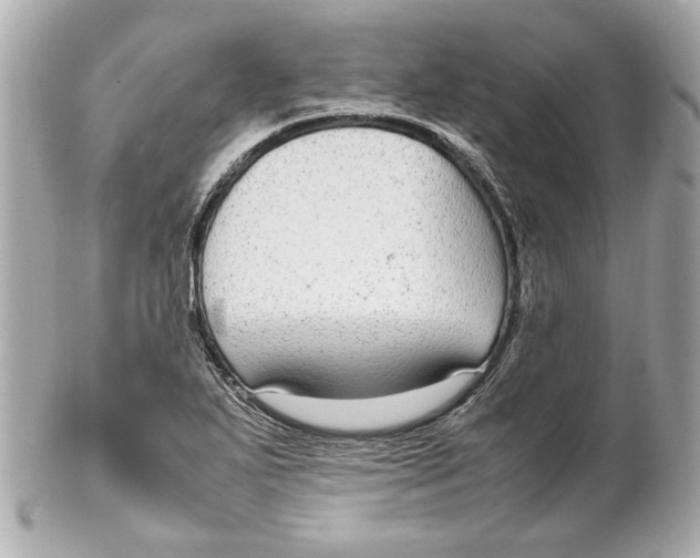 X0000102271271200808151856