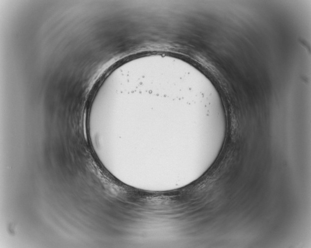 X0000102271272200808151856