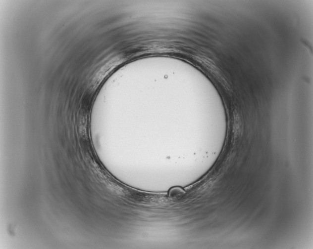 X0000102271273200808151856