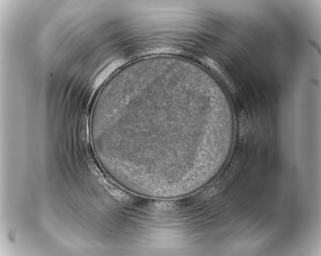 X0000102271274200808151856