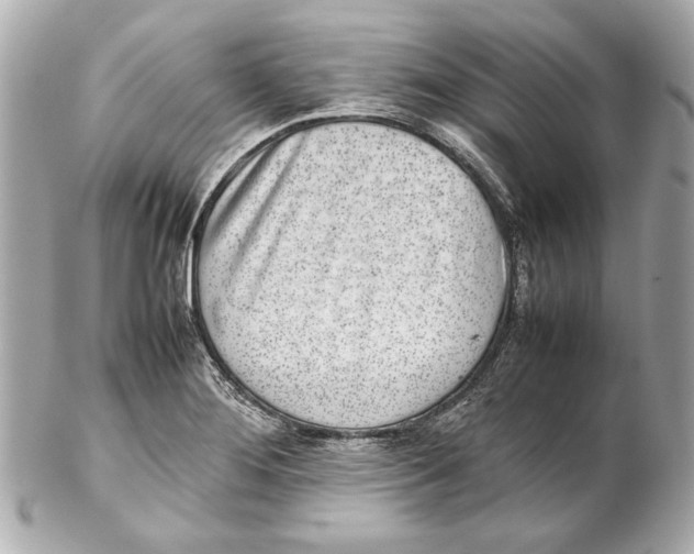 X0000102271276200808151856