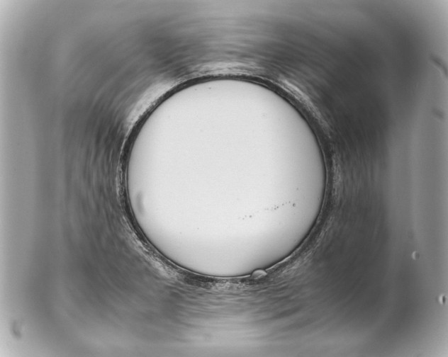 X0000102271277200808151856