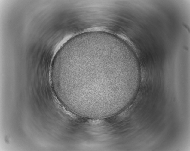 X0000102271278200808151856