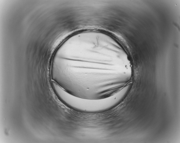 X0000102271279200808151856