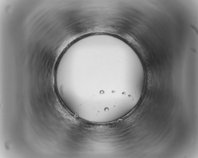 X0000102271280200808151856